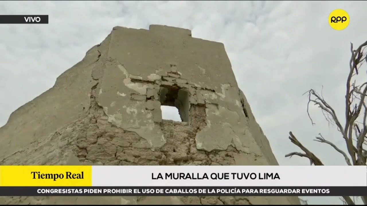 Entrevista 