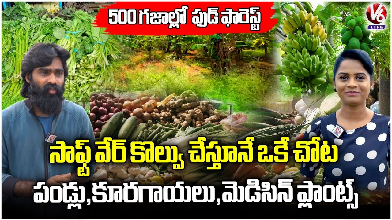 Software Becomes Farmer : 5 Layer Chemical Free Food Forest Farming on Small Land  Keshampet  | V6