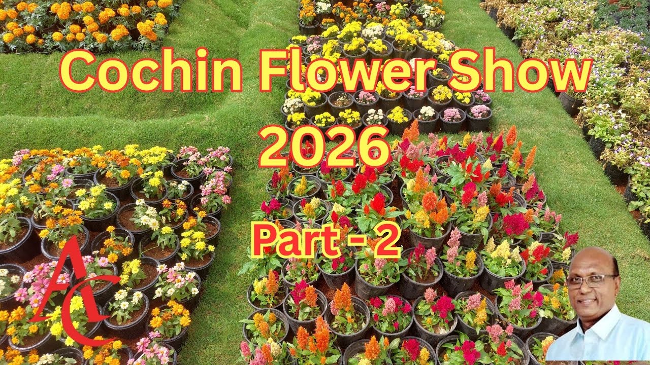 കൊച്ചിൻ ഫ്ളവർ ഷോ 2026 | പൂക്കാലം വരവായി | Part - 2| Cochin Flower Show 2026