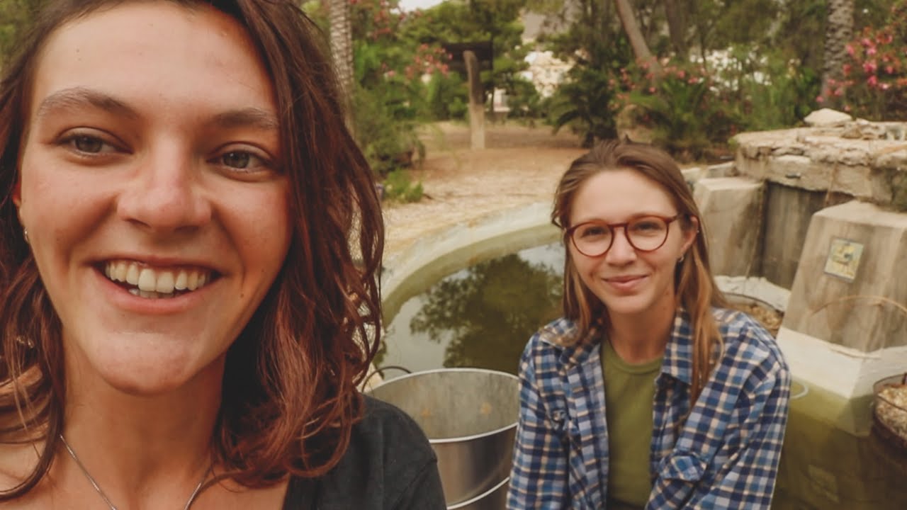 Estamos de Vuelta! - Se Escapan los Peces, Vacaciones en Dinamarca y Cosechar Verduras de la Huerta