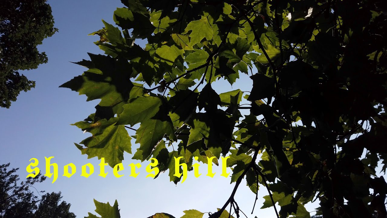 Shooters Hill ( Bronze age and Iron age walk)