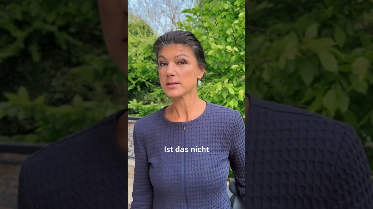 AfD gesichert rechtsextrem? #wagenknecht #BSW #AFD