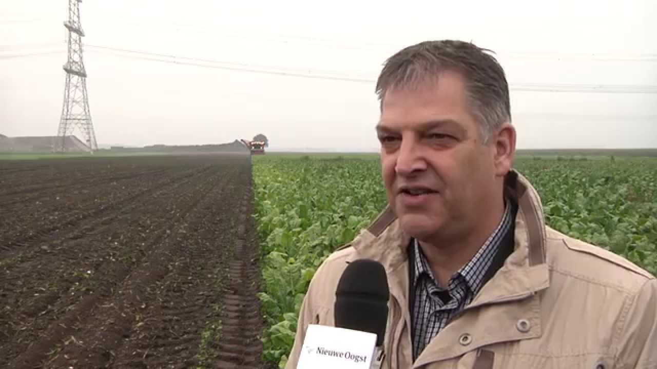 Suikergehalte in bieten lager