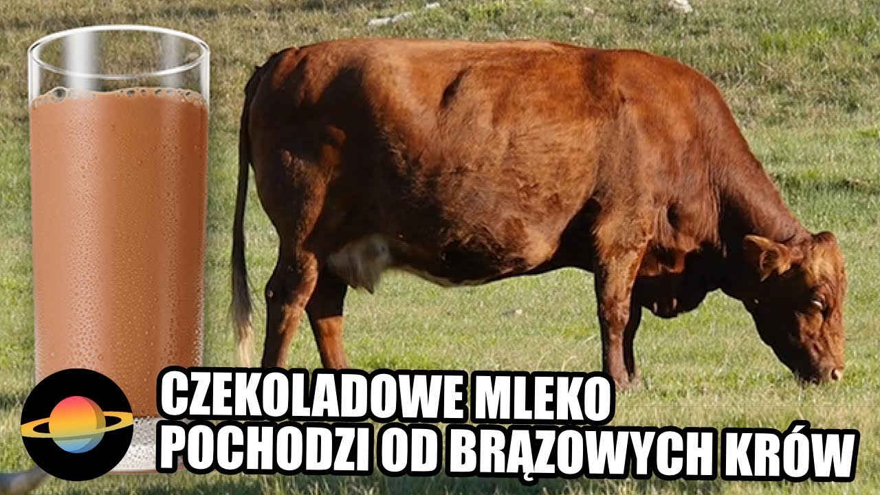 10 dziwnych rzeczy, w które wierzą Amerykanie