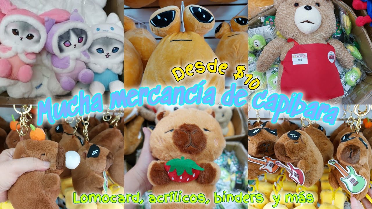 Capibara, kuromi, gatos de peluche,bt21 y muchas lomocard a los mejores precios #nayech