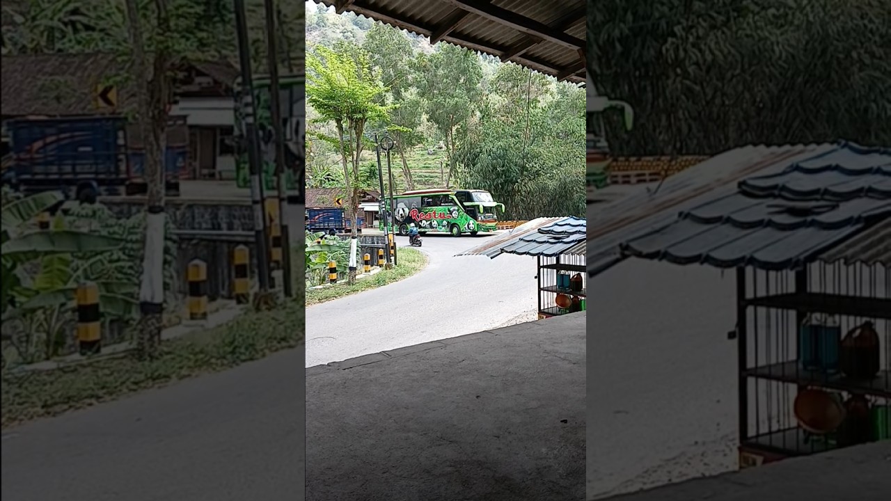 Restu panda patas pacitan surabaya  pctn :09.00 dari sby 19.05#restupanda #patasjatim #pacitan