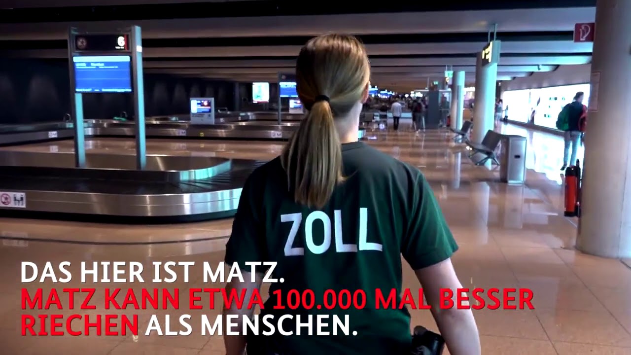 Zollhund Matz Facebookvideo der Bundesregierung