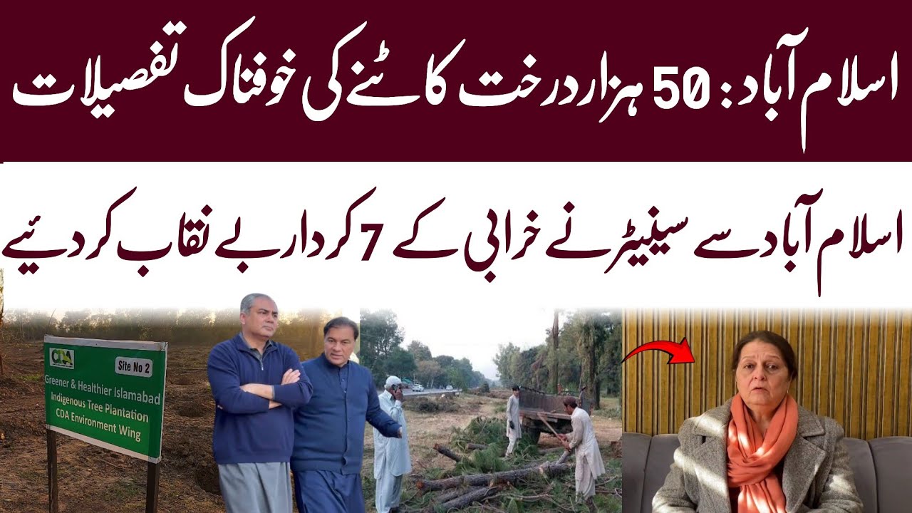 Senator Fauzia Arshad Reacts to Tree Cutting in Islamabad | WAHJOC Environment
