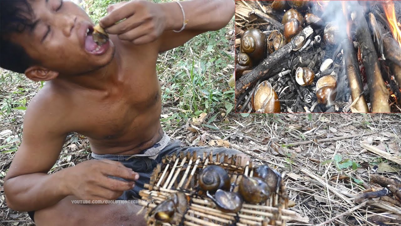 Real life living in forest, Cooking lake Snails for food