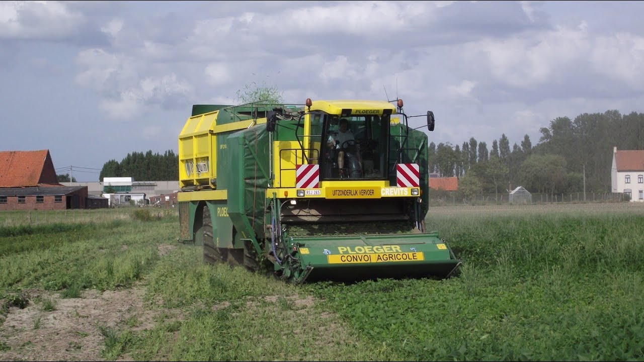 PLOEGER BP2100 à la récolte des haricots en 2012