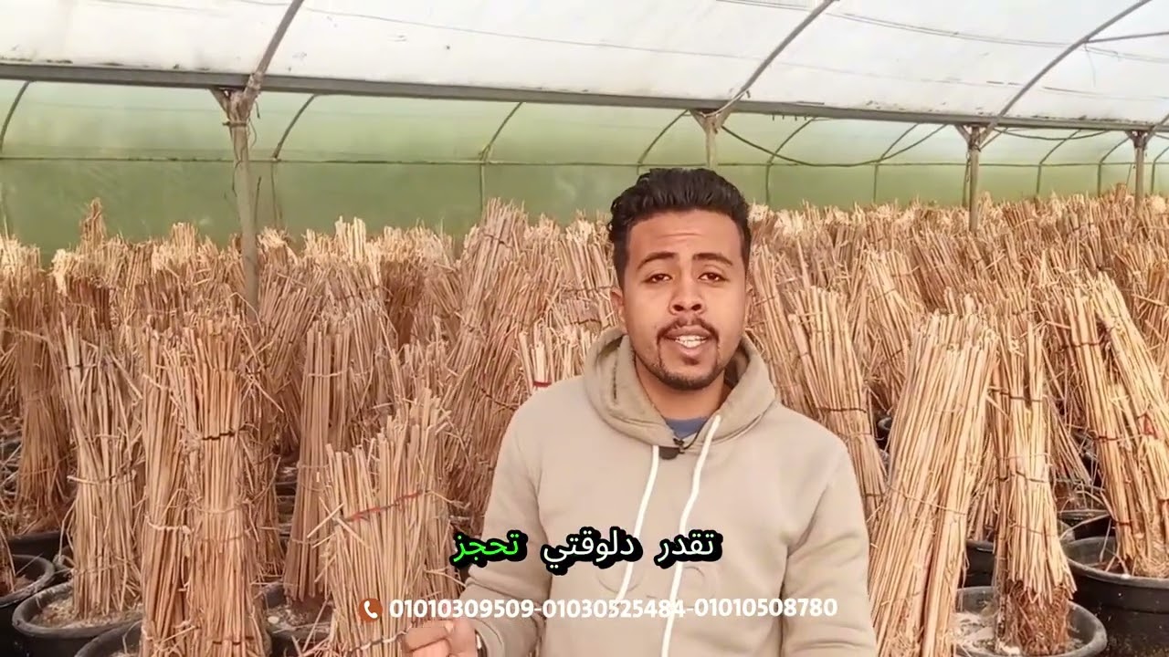 فرصتك الاخيرة لحجز دفعتك من فسايل #مشاتل_الحياة