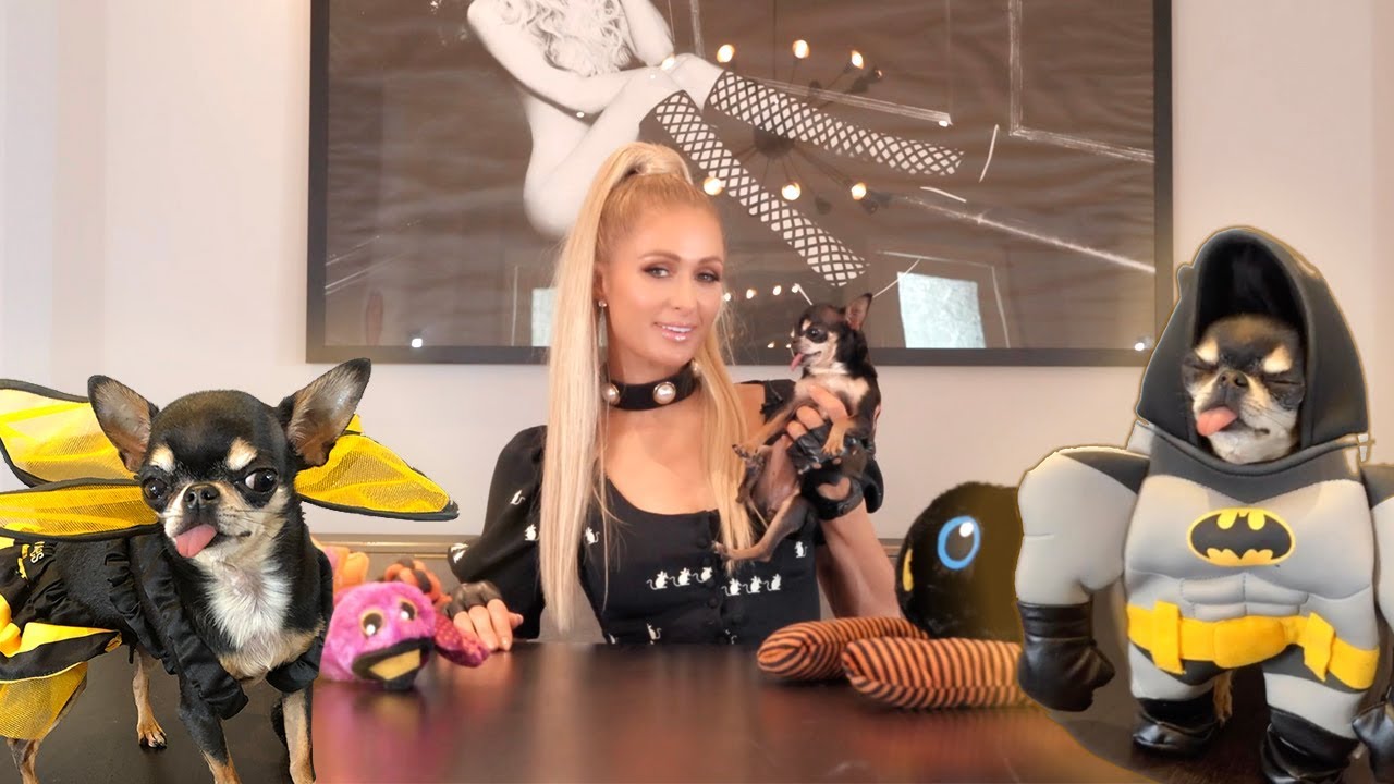 Paris Hilton's Halloween Costume Lookbook for Dogs | Paris Hilton