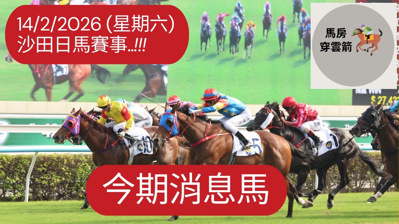 今期消息馬..!!! 14/2/2026 (星期六) 沙田日馬賽事 !! [香港賽馬][賽馬] [賽馬貼士]