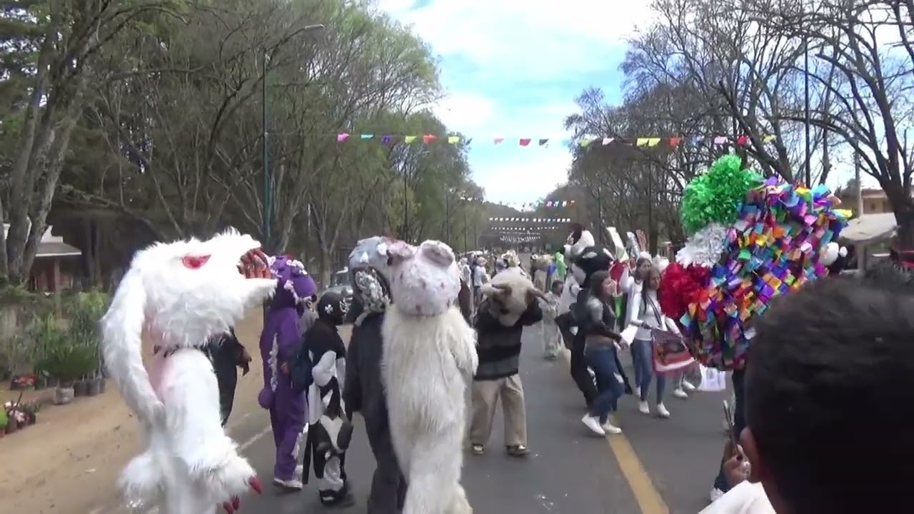 Carnaval En Zurumutaro Mich. 2024