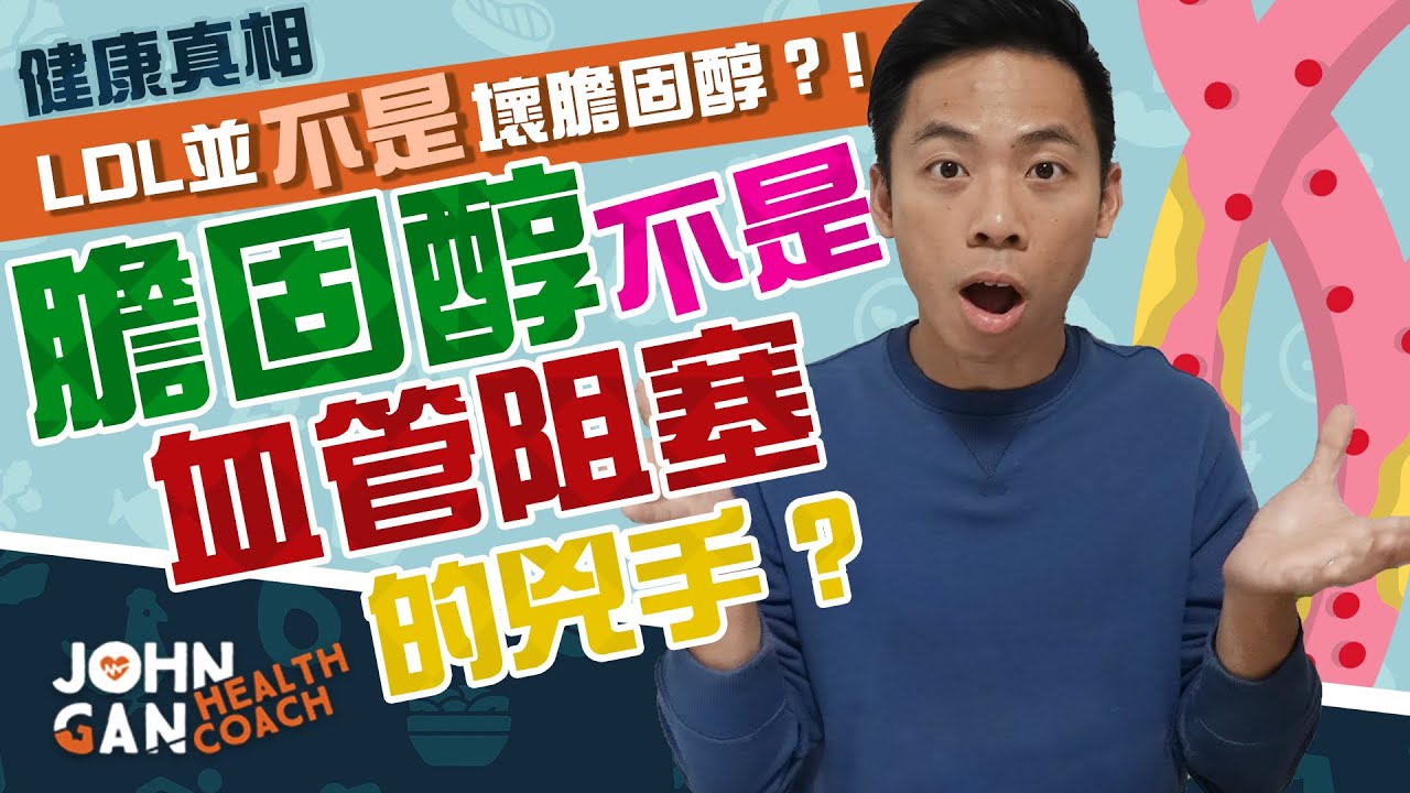 重新認識膽固醇 | 膽固醇5樣你不知道的事 | 