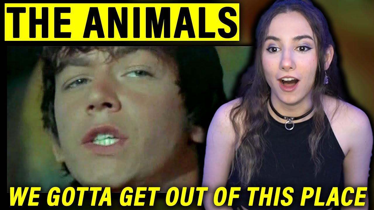 The Animals - We Gotta Get Out Of This Place | REACTION Singer & Musician Analysis