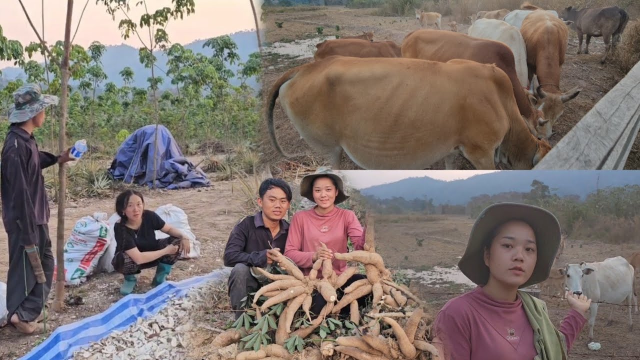 17 กุมภาพันธ์ ค.ศ. 2026
