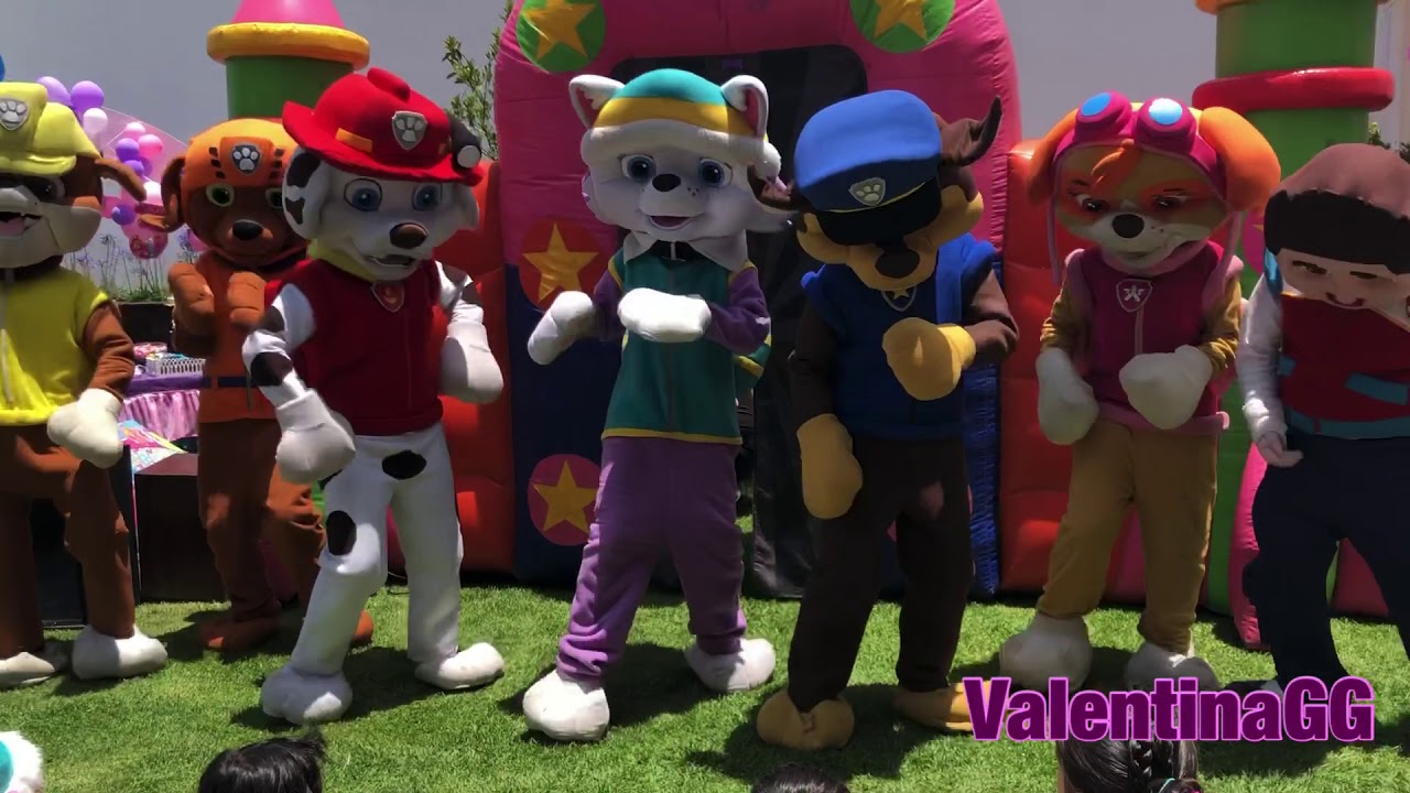 Show de Paw Patrol en Vivo mighty pups