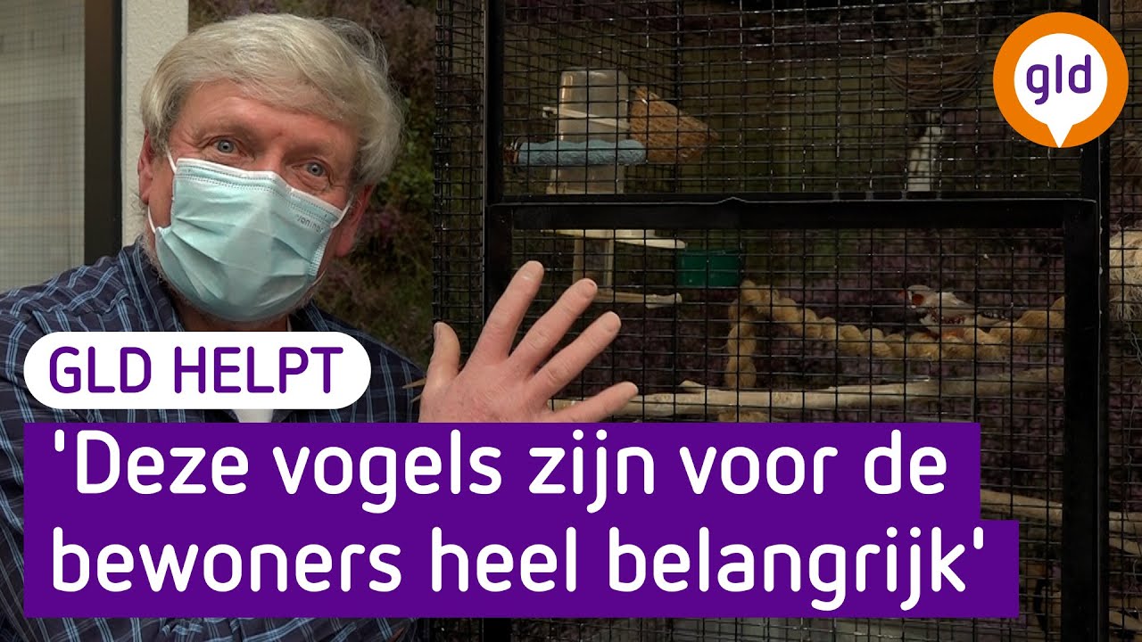 Verpleeghuis Pieter Pauw is dringend op zoek naar een grote vogelkooi| Gelderland Helpt