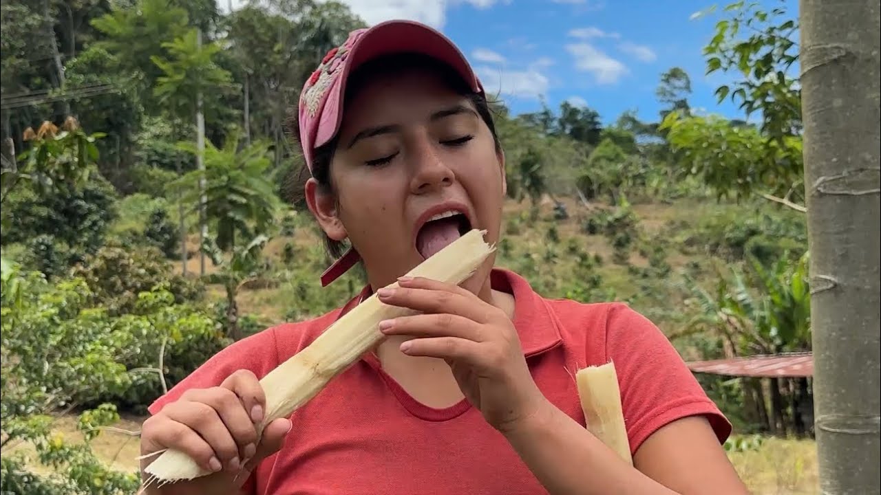 2 formas Fáciles de Pelar Caña en la Finca ~ Saida ZC ~ 💚