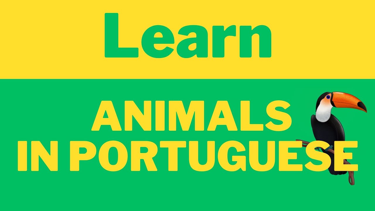 Brazilian Portuguese Class: Learn Animals in Portuguese