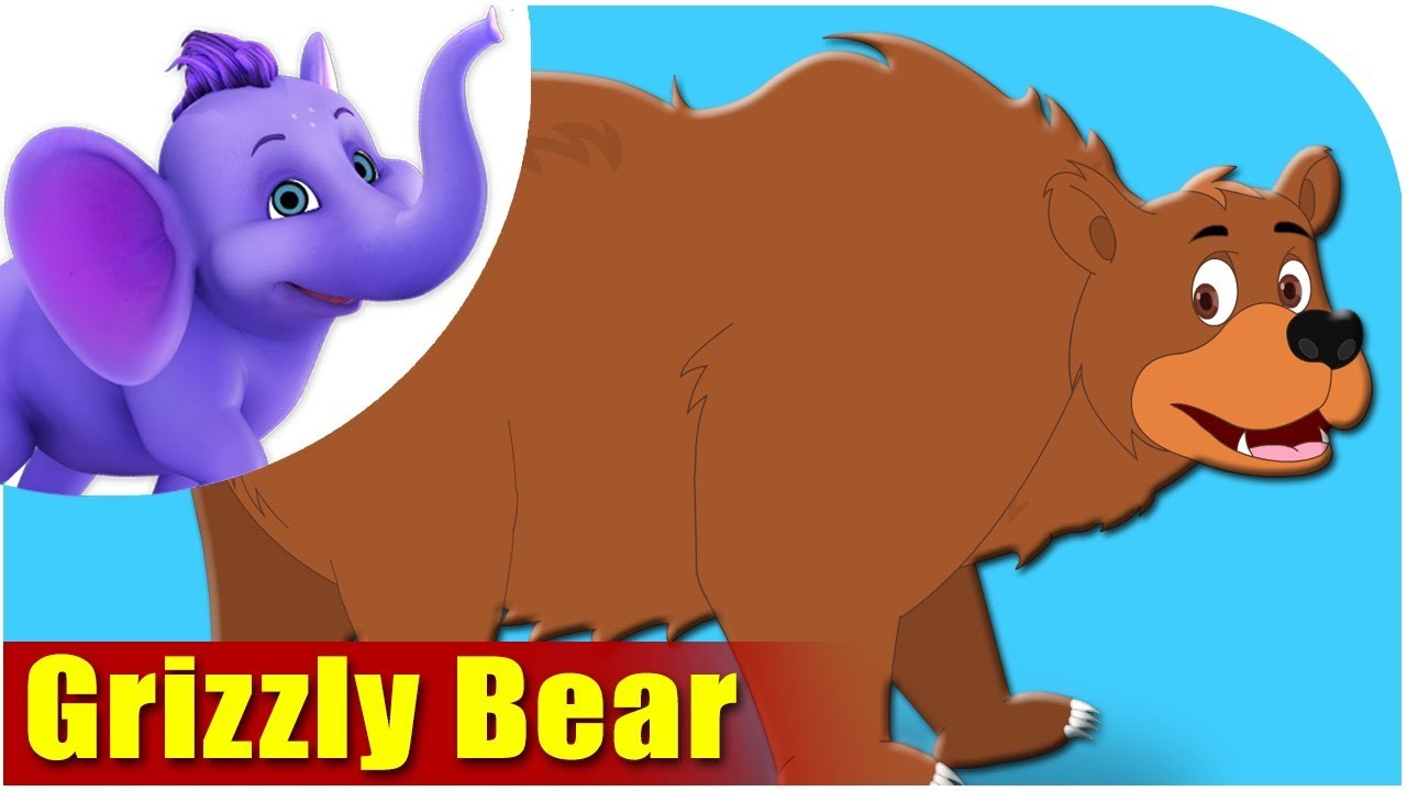 Animal Songs for kids | Grizzly Bear Song