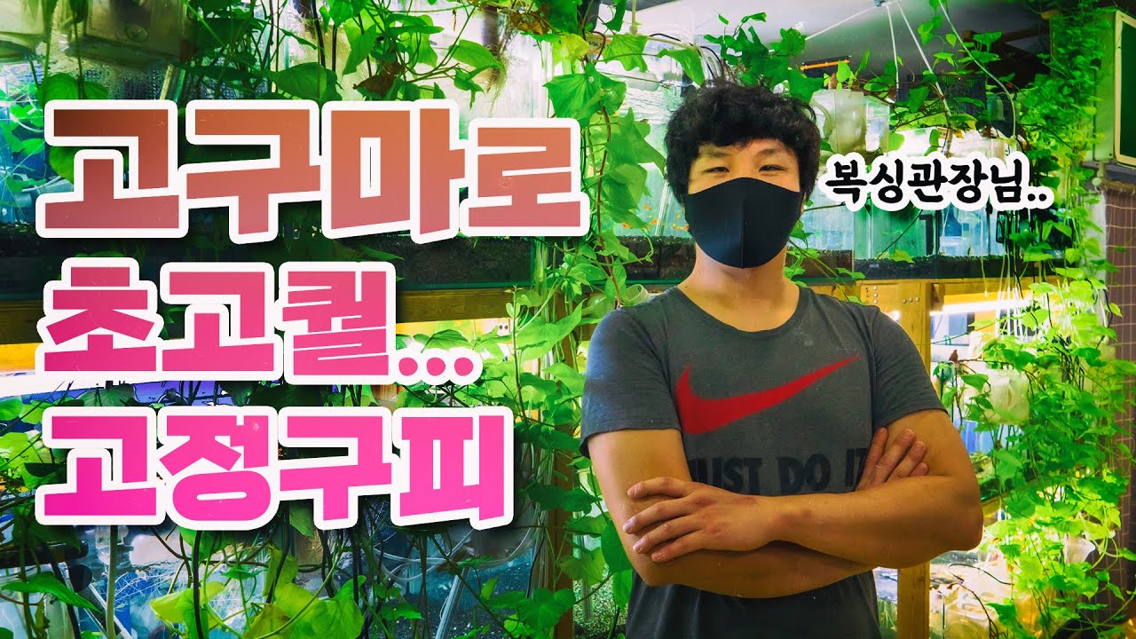 체육관 관장님이 무환수로 구피 수천마리를 키우고 계셨습니다…