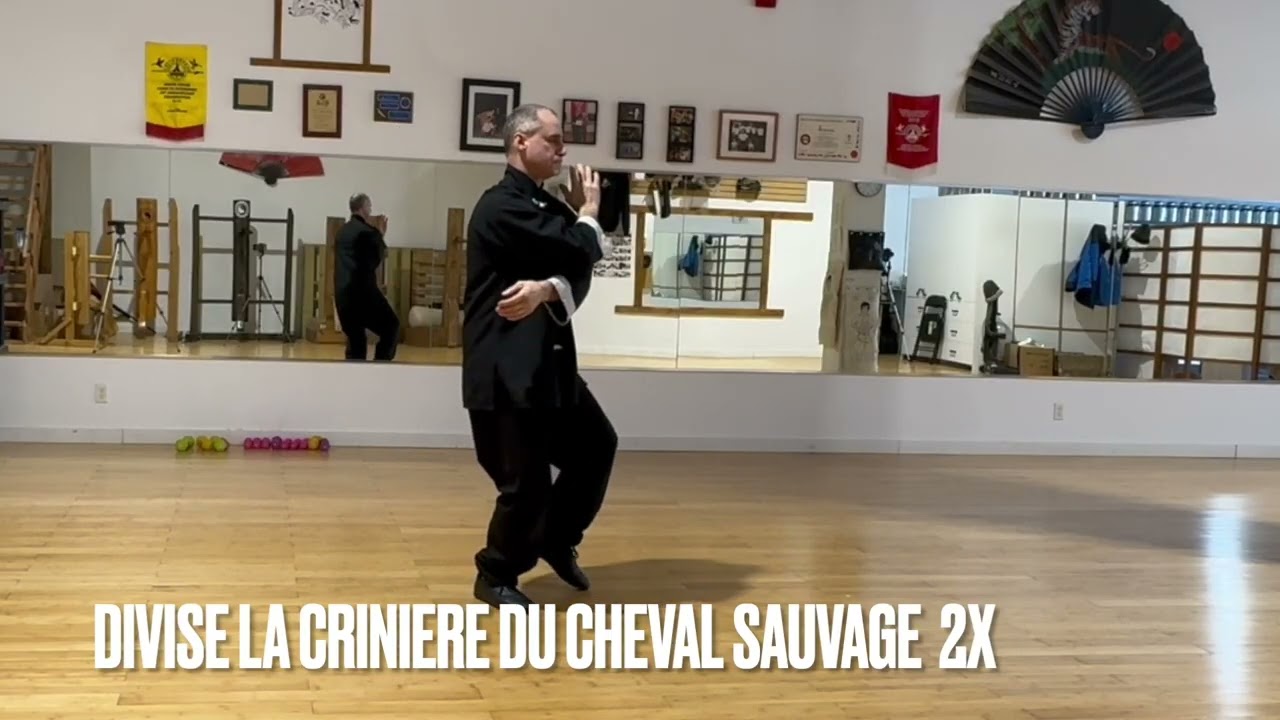 Tai chi style Wu 40 mouvements