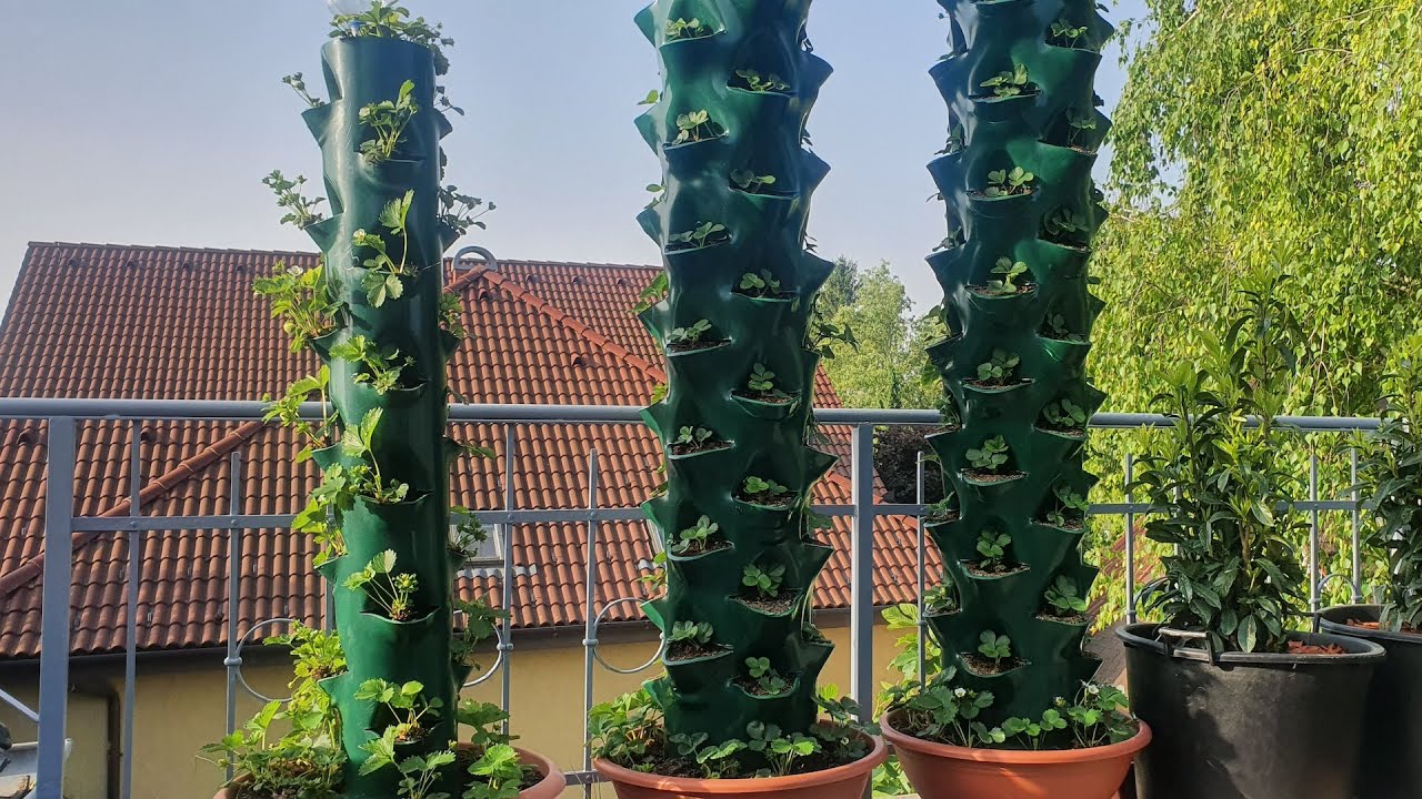 DIY: Strawberry tower - part 2/2