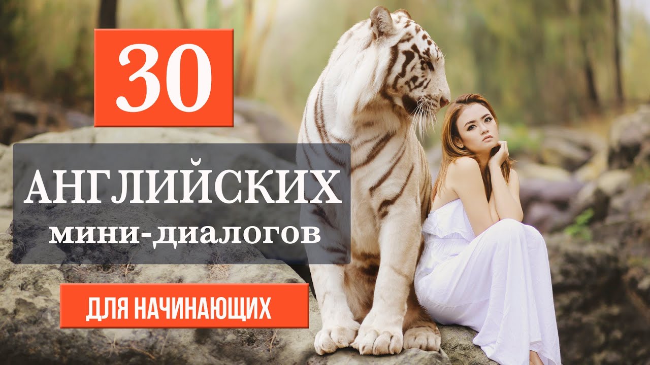 30 мини-диалогов на английском языке для начинающих