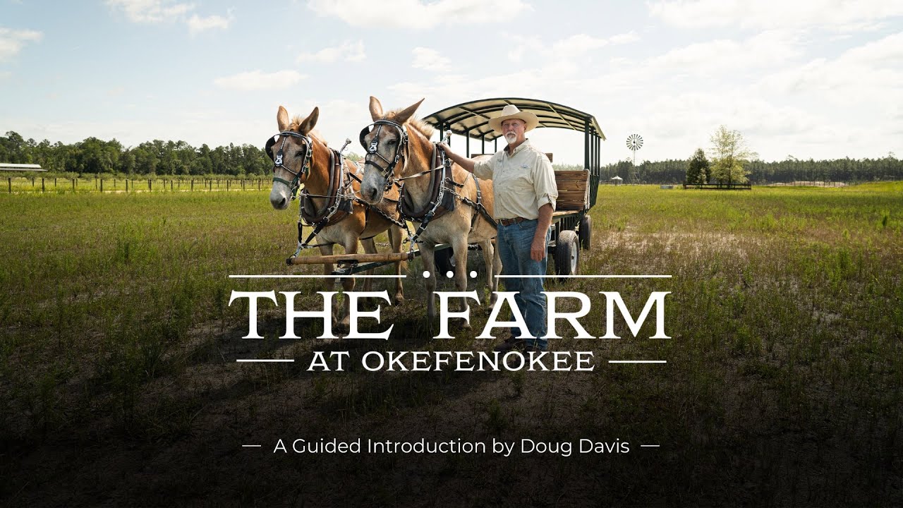 The Farm at Okefenokee: Regenerative farming meets sustainable living