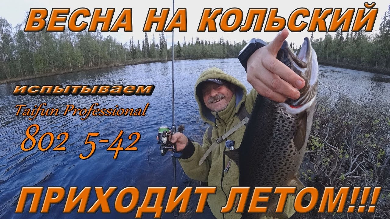 Весна на Кольский приходит летом!!! Испытания нового спиннинга Taifun Professional 802 5-42 gr.