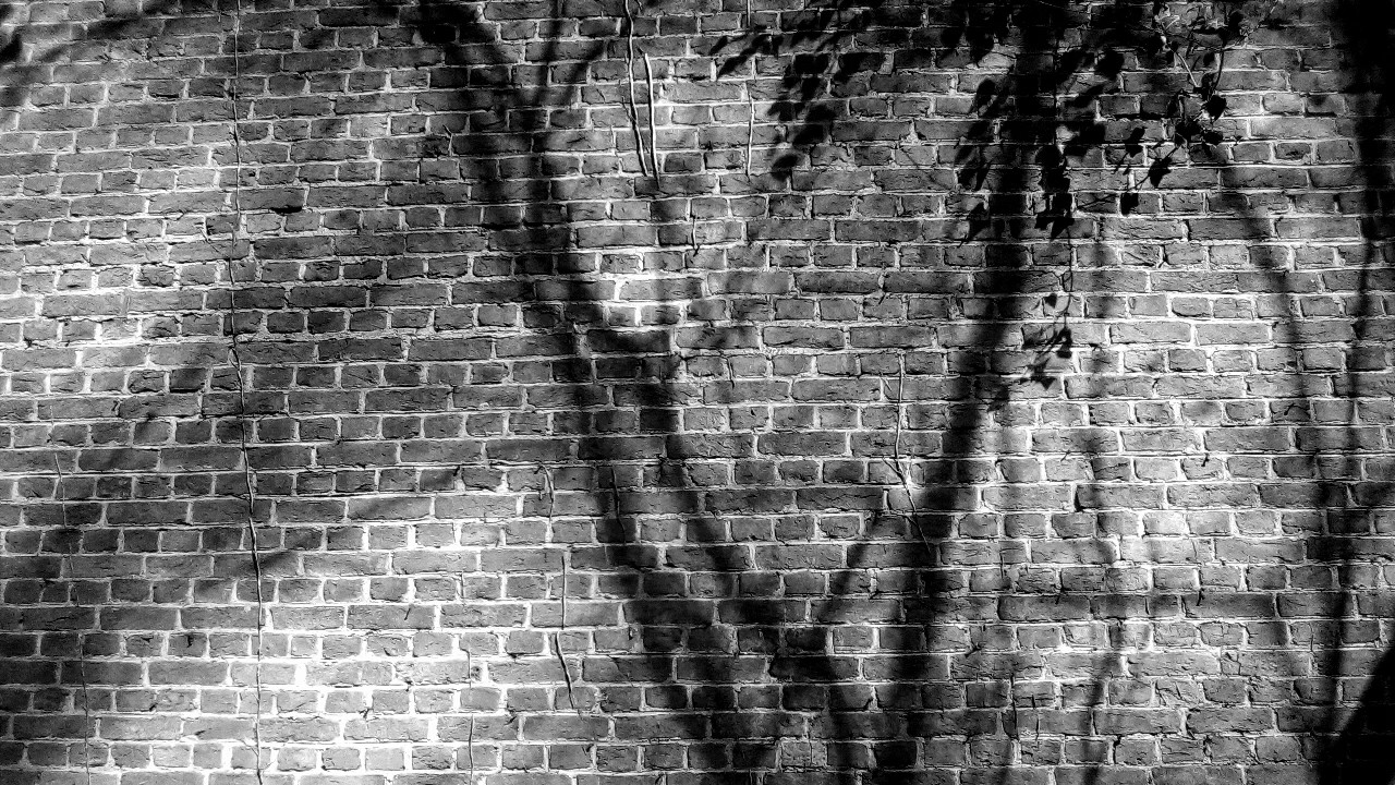 Trixcis &ndash; Shadows on the Wall &ndash; Dramatic, Dark, Epic, and Beautiful Instrumental Music
