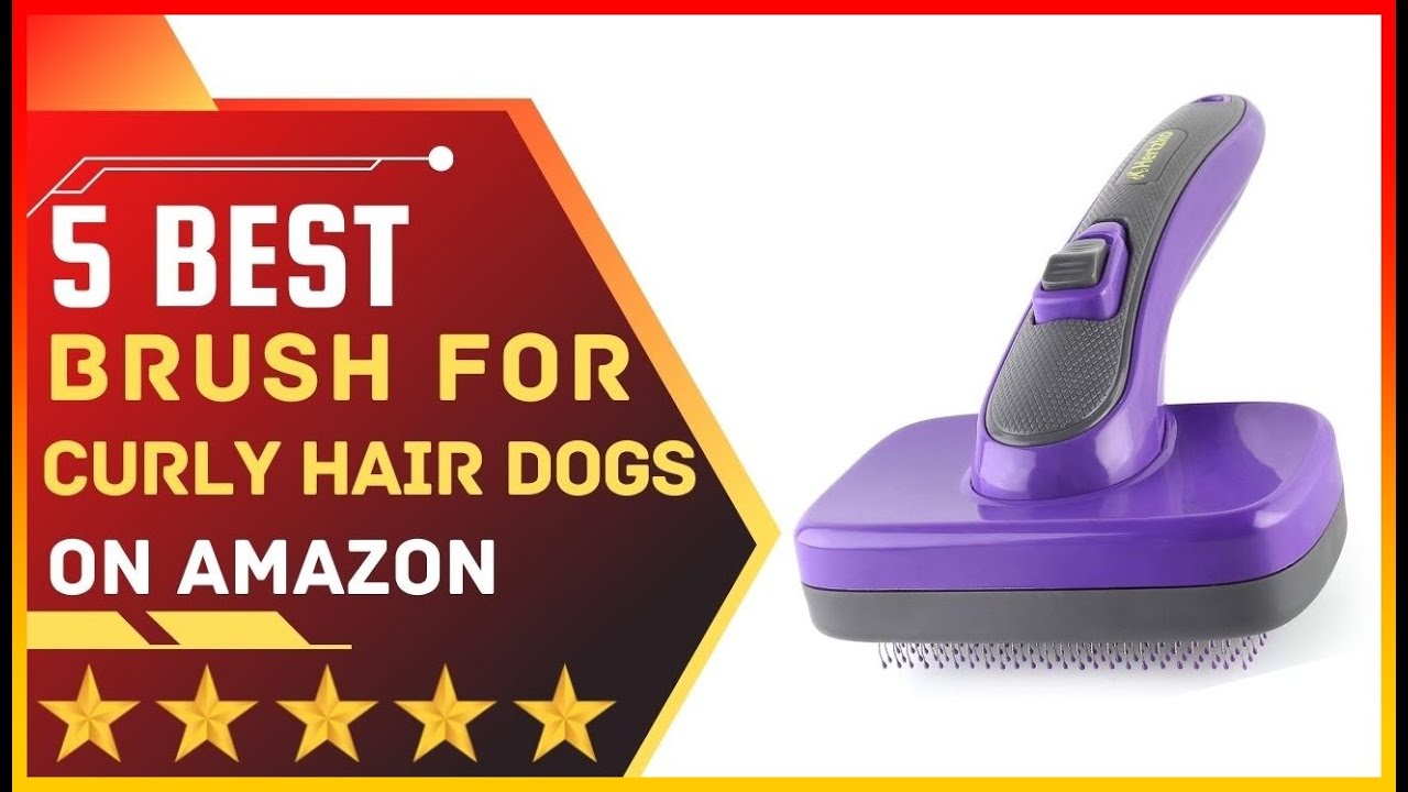 ✅ Best Brush for curly hair dogs ➡️ Top 5 Tested & Buying Guide
