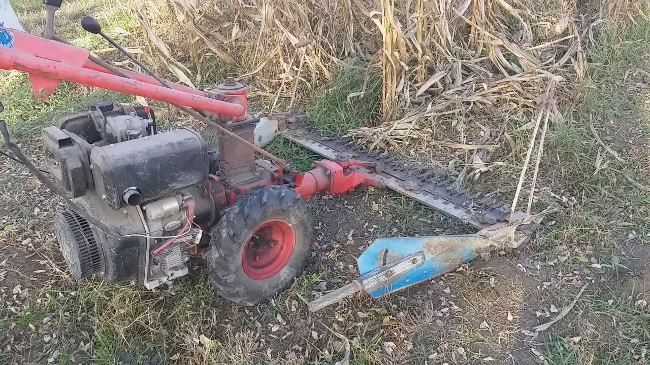 MF 70 és a kukorica szár vágás.