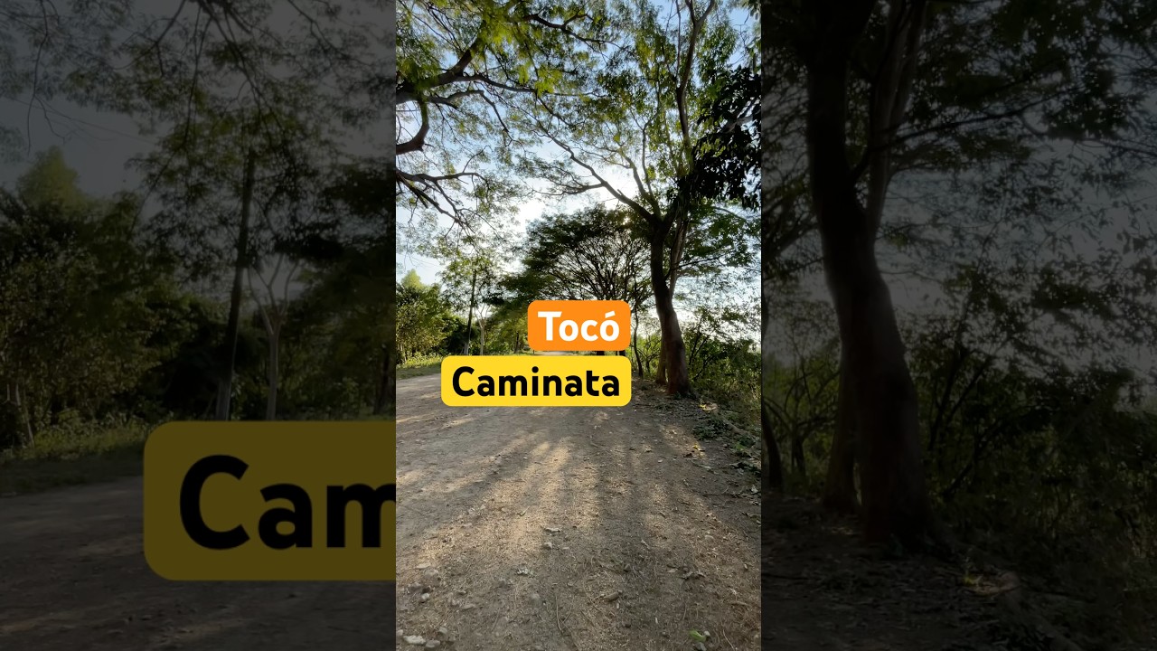 Caminata por la Rivera del Pitillal #paseo #caminata #naturaleza