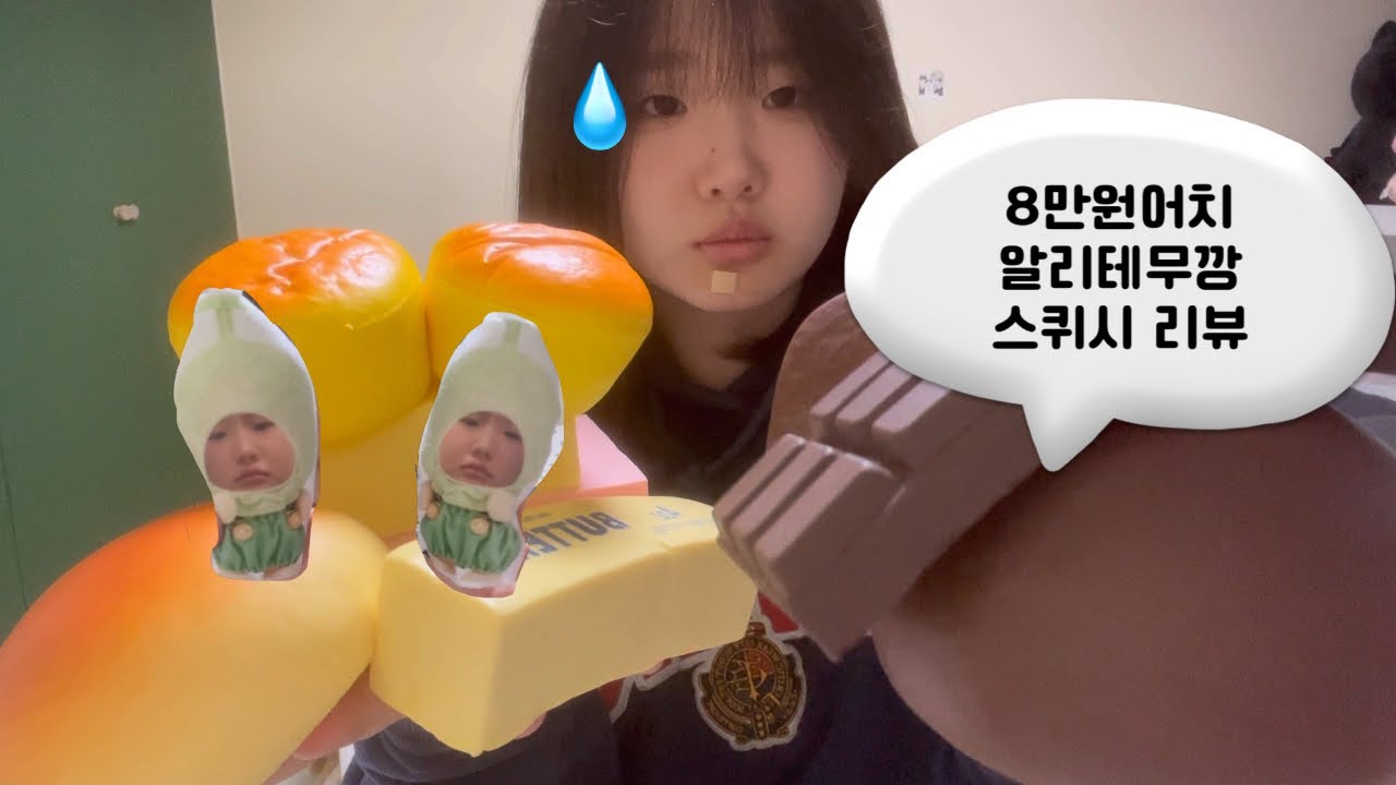 스퀴시 리뷰