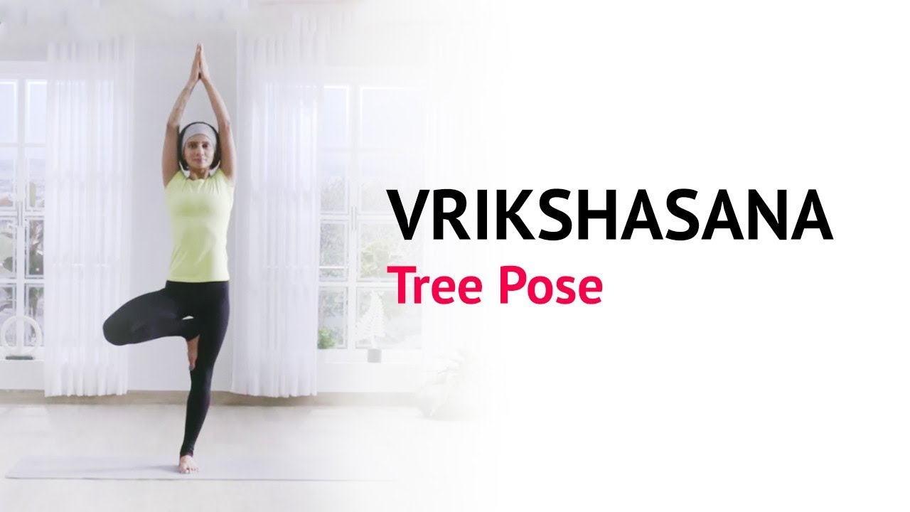 Врикшасана - поза дерева | Польза | Ступени | Фитнес - йога | Йога 