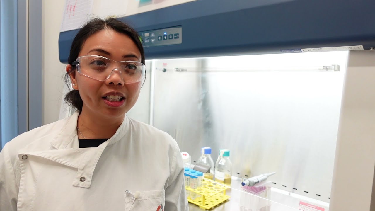 Biomedical Technologies: coupling stem cell and biomaterial approaches to regenerate damaged tissue.
