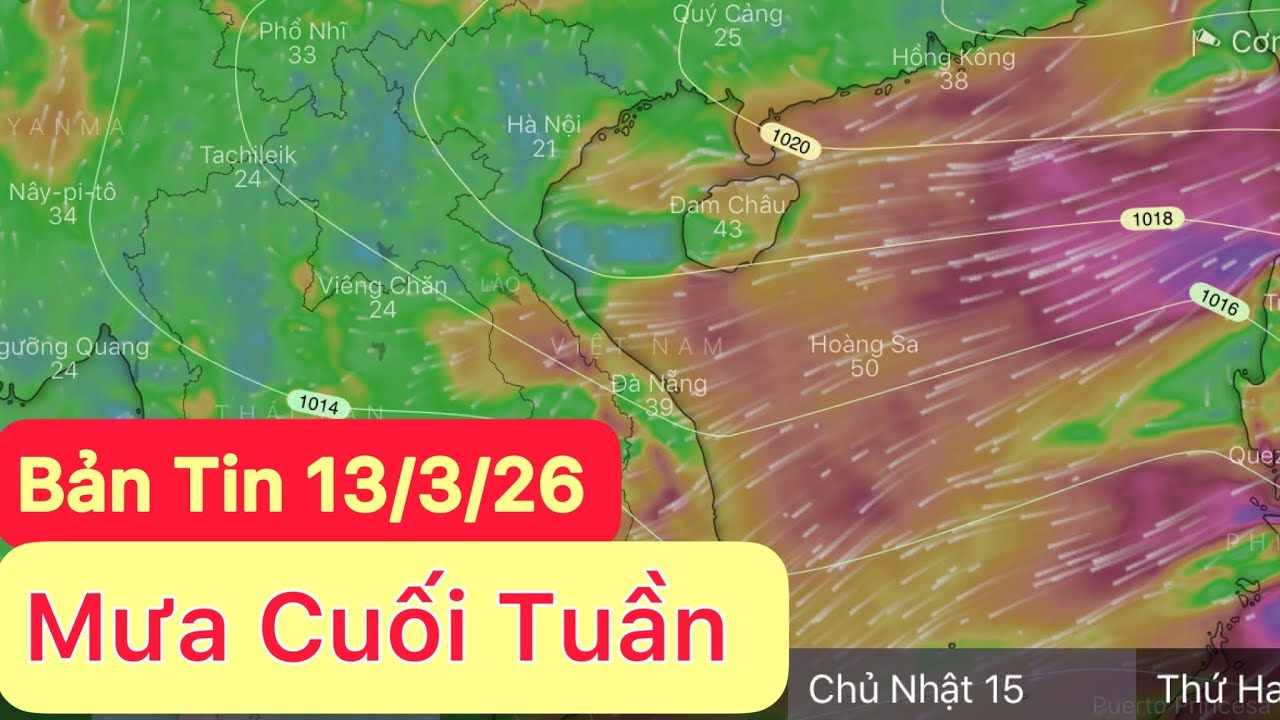 Mưa cuối tuần | liên tiếp rét tăng cường | Dự báo thời tiết hôm và ngày mai 13/3