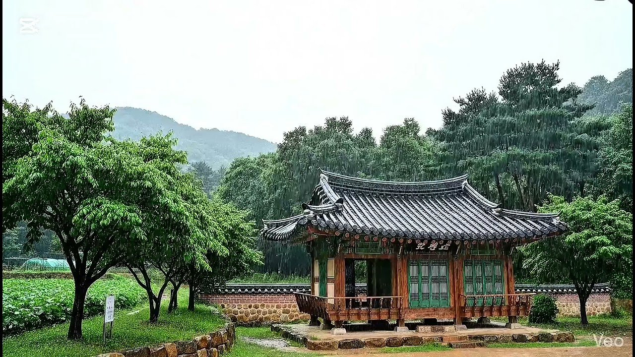 비가 내리는 고즈넉한 시골 | 수면, 집중에 특효약 처방