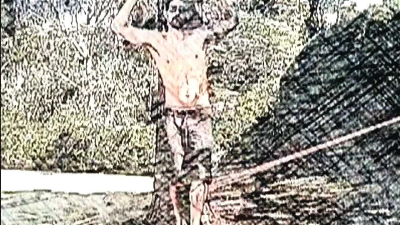 Scracho - Bem-te-vi (Webclipe)