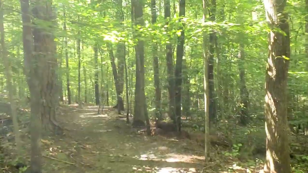 Lost Corner Preserve Sandy Springs GA. 8-31-24