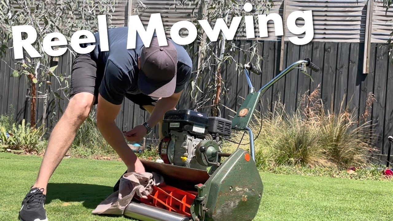 TifTuf Lawn Cylinder Mow - Scott Bonnar 20