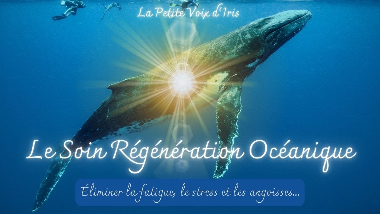 🌀Soin Énergétique - Régénération Océanique - Contre la fatigue et le stress🌀
