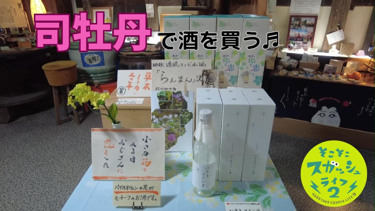 【そこスガ】佐川町の地酒「司牡丹」の酒を買う！
