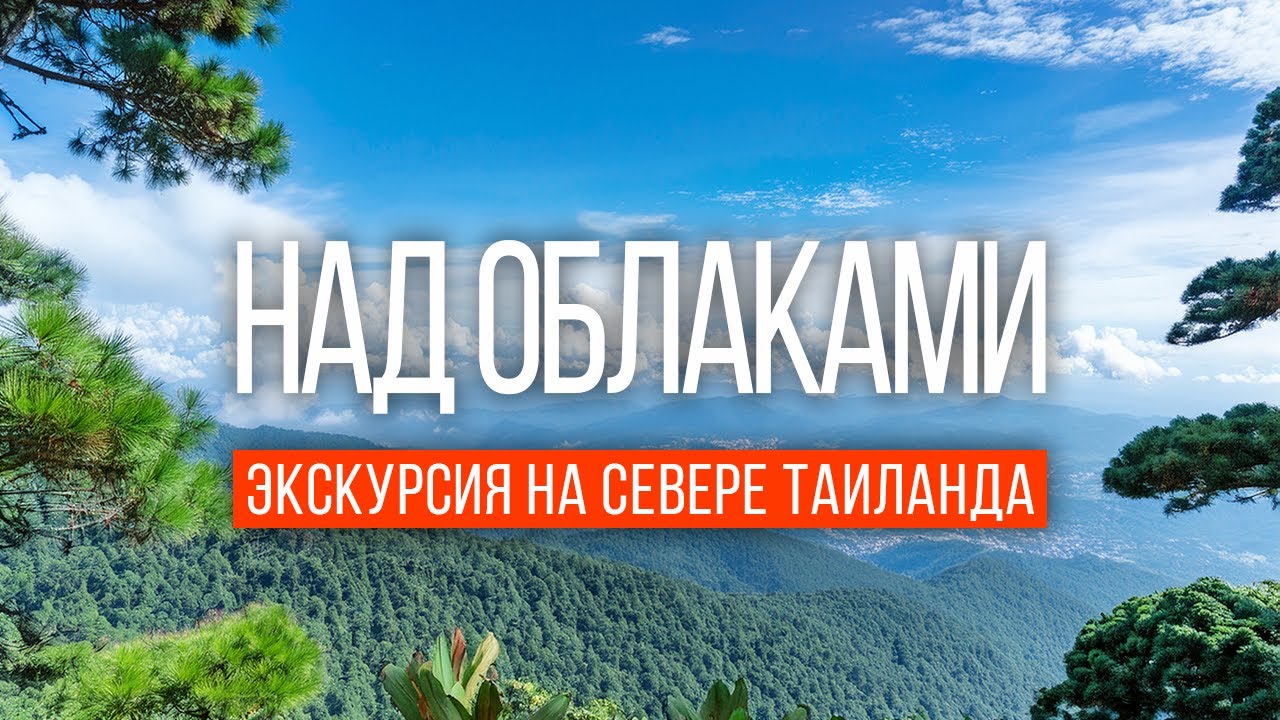 ИЗ ПАТТАЙИ НА СЕВЕР ТАИЛАНДА: ЭКСКУРСИЯ «НАД ОБЛАКАМИ» | ЧТО ПРОИЗОШЛО ВО ВРЕМЯ ПОЕЗДКИ