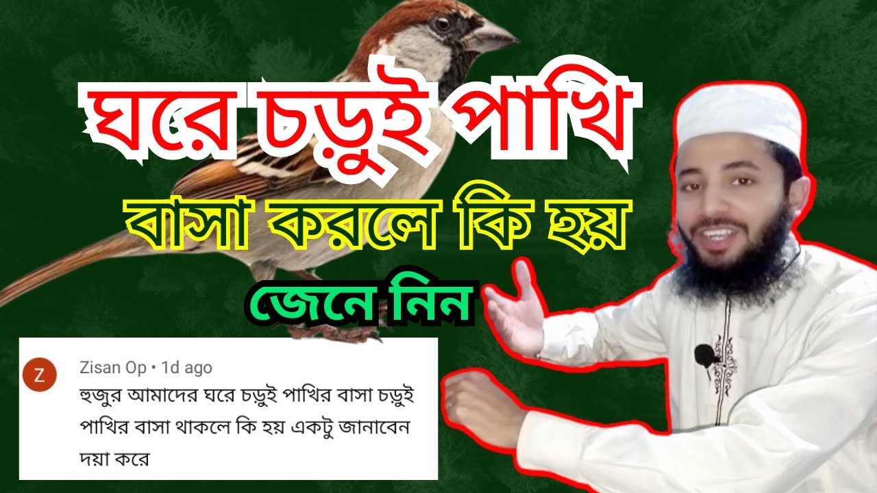 ঘরে চড়ুই পাখি বাসা করলে কি হয় | বাড়িতে পাখির বাসা | study tips চড়ুই পাখি ঘরে বাসা করলে কি হয়