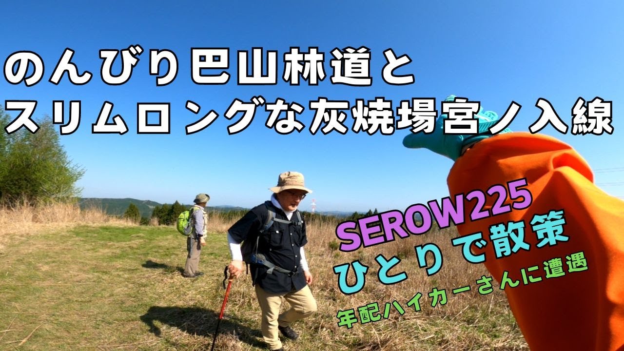 【三河 林道】のんびり巴山林道とスリムロングな灰焼場宮ノ入線【岡崎市】 セロー225　ひとりで散策