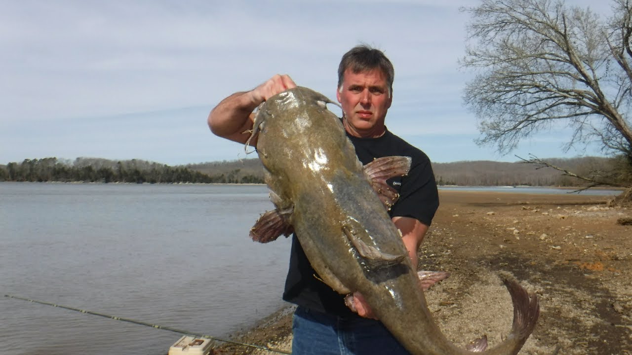 Fish Before Breakfast